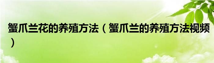 蟹爪兰花的养殖方法（蟹爪兰的养殖方法视频）