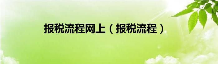 报税流程网上（报税流程）