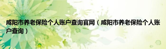 咸阳市养老保险个人账户查询官网（咸阳市养老保险个人账户查询）