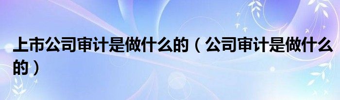 上市公司审计是做什么的（公司审计是做什么的）