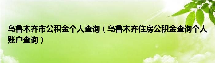 乌鲁木齐市公积金个人查询（乌鲁木齐住房公积金查询个人账户查询）