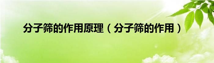 分子筛的作用原理（分子筛的作用）