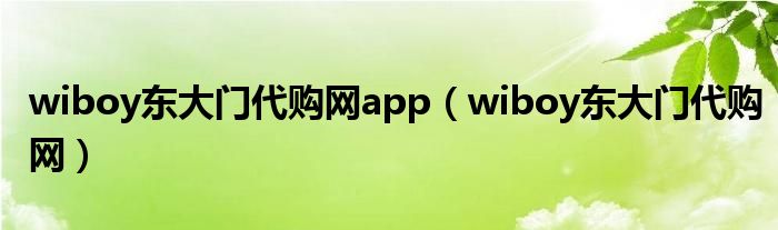 wiboy东大门代购网app（wiboy东大门代购网）