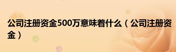 公司注册资金500万意味着什么（公司注册资金）