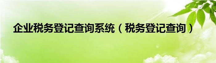 企业税务登记查询系统（税务登记查询）