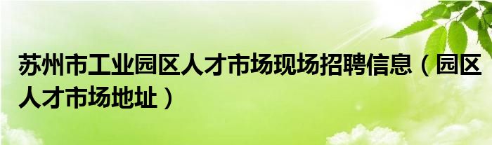 苏州市工业园区人才市场现场招聘信息（园区人才市场地址）