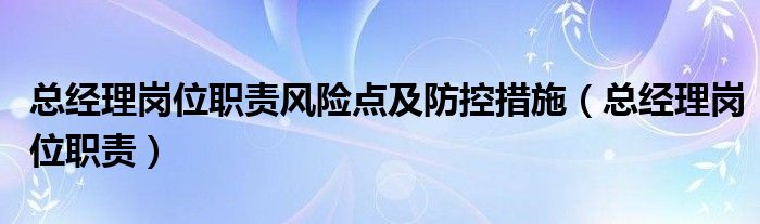 总经理岗位职责风险点及防控措施（总经理岗位职责）