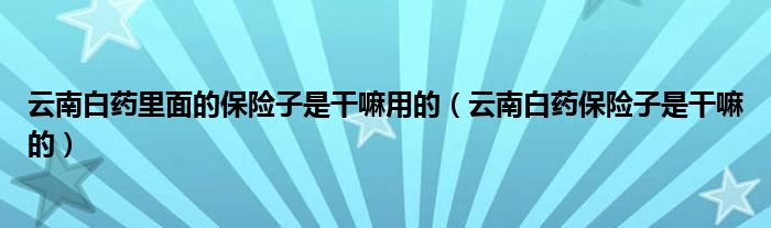 云南白药里面的保险子是干嘛用的（云南白药保险子是干嘛的）