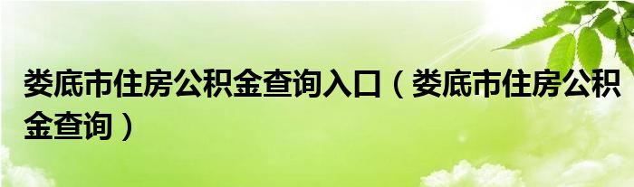 娄底市住房公积金查询入口（娄底市住房公积金查询）