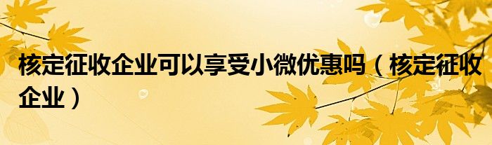 核定征收企业可以享受小微优惠吗（核定征收企业）