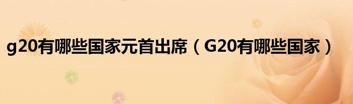 g20有哪些国家元首出席（G20有哪些国家）