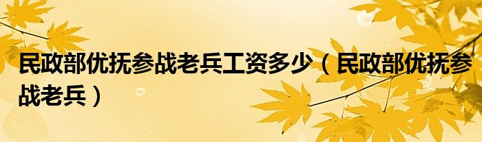 民政部优抚参战老兵工资多少（民政部优抚参战老兵）