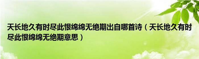 天长地久有时尽此恨绵绵无绝期出自哪首诗（天长地久有时尽此恨绵绵无绝期意思）