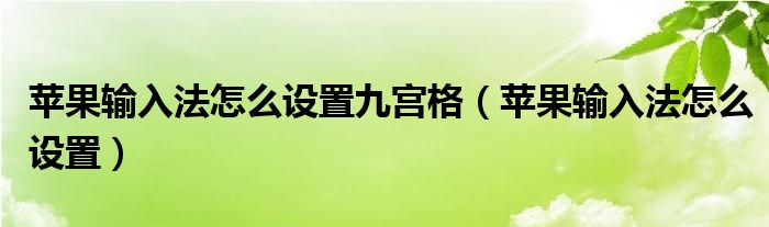 苹果输入法怎么设置九宫格（苹果输入法怎么设置）