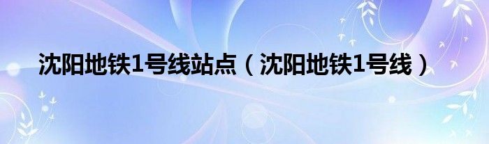 沈阳地铁1号线站点（沈阳地铁1号线）