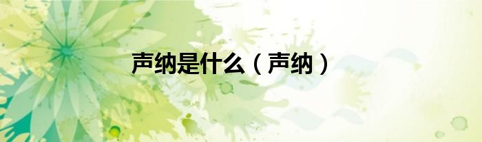 声纳是什么（声纳）