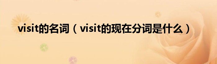 visit的名词（visit的现在分词是什么）