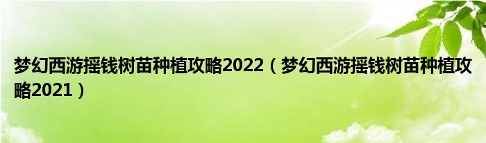 梦幻西游摇钱树苗种植攻略2022（梦幻西游摇钱树苗种植攻略2021）