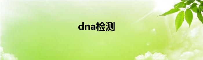 dna检测