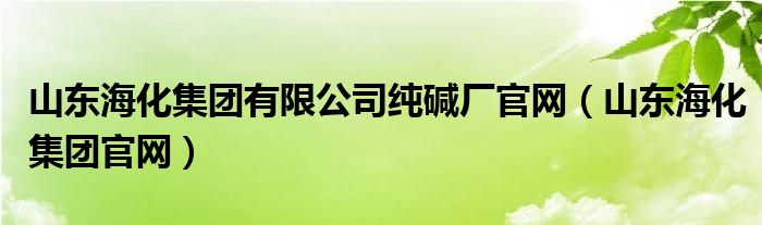 山东海化集团有限公司纯碱厂官网（山东海化集团官网）