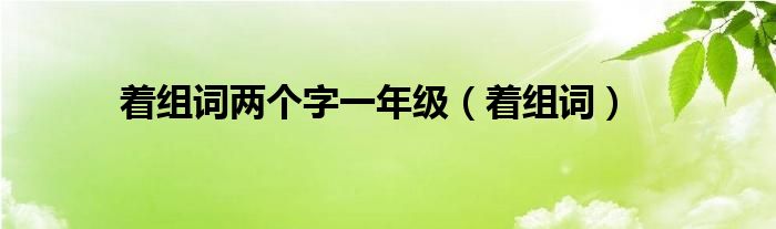 着组词两个字一年级（着组词）