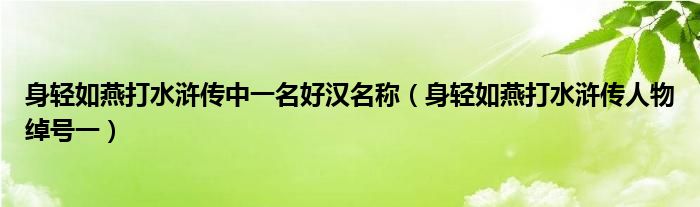 身轻如燕打水浒传中一名好汉名称（身轻如燕打水浒传人物绰号一）