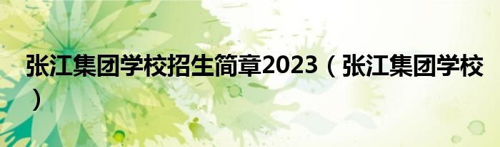 张江集团学校招生简章2023（张江集团学校）