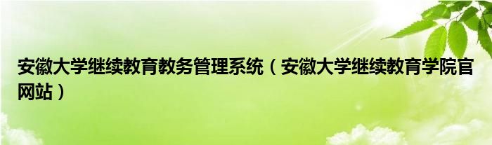 安徽大学继续教育教务管理系统（安徽大学继续教育学院官网站）