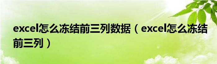 excel怎么冻结前三列数据（excel怎么冻结前三列）