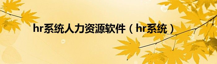 hr系统人力资源软件（hr系统）