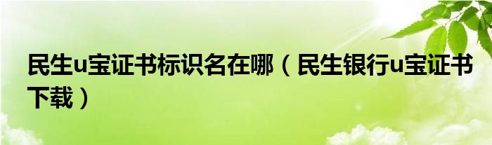 民生u宝证书标识名在哪（民生银行u宝证书下载）