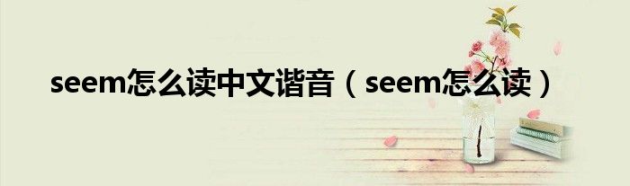 seem怎么读中文谐音（seem怎么读）