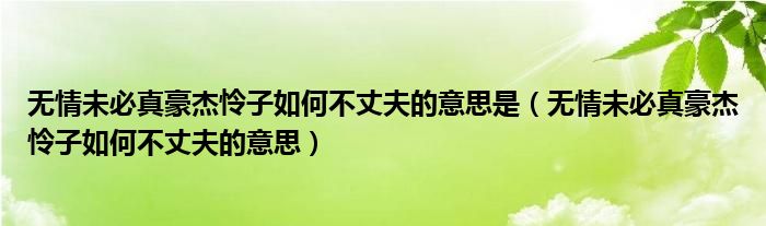 无情未必真豪杰怜子如何不丈夫的意思是（无情未必真豪杰怜子如何不丈夫的意思）