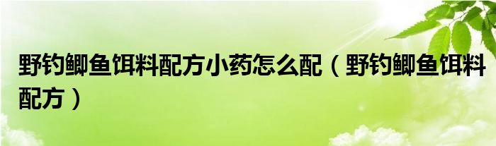 野钓鲫鱼饵料配方小药怎么配（野钓鲫鱼饵料配方）