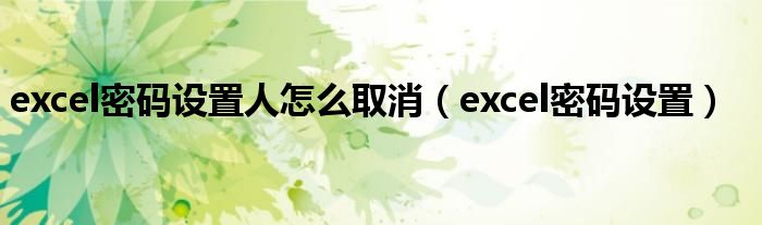 excel密码设置人怎么取消（excel密码设置）