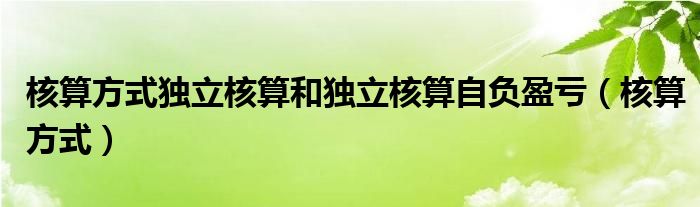 核算方式独立核算和独立核算自负盈亏（核算方式）