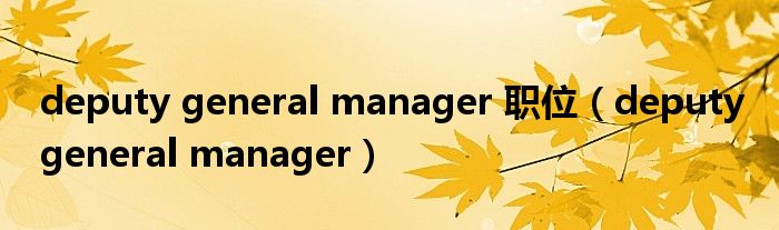 deputy general manager 职位（deputy general manager）