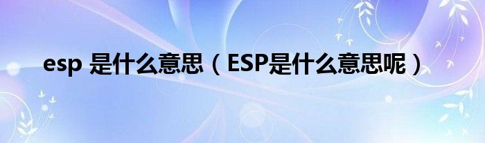 esp 是什么意思（ESP是什么意思呢）