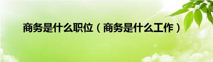 商务是什么职位（商务是什么工作）