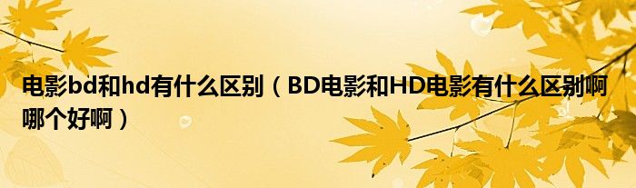 电影bd和hd有什么区别（BD电影和HD电影有什么区别啊 哪个好啊）