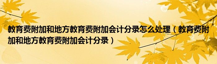 教育费附加和地方教育费附加会计分录怎么处理（教育费附加和地方教育费附加会计分录）