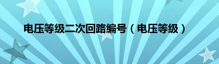 电压等级二次回路编号（电压等级）