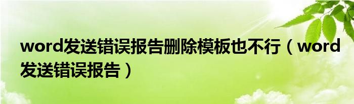 word发送错误报告删除模板也不行（word发送错误报告）