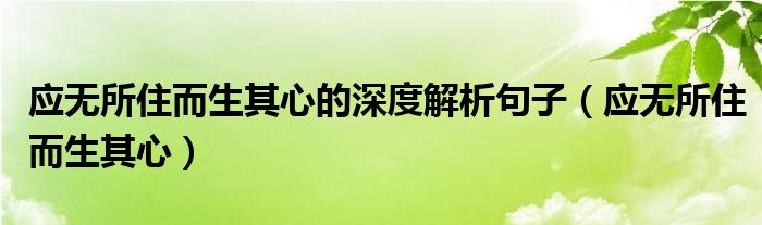 应无所住而生其心的深度解析句子（应无所住而生其心）