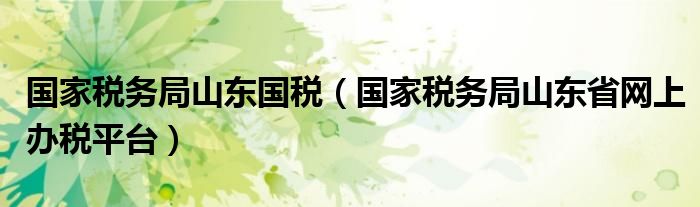 国家税务局山东国税（国家税务局山东省网上办税平台）