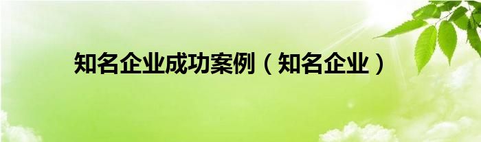 知名企业成功案例（知名企业）