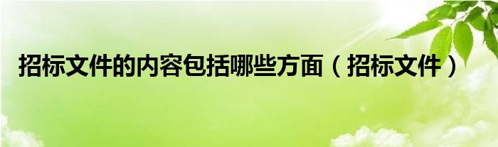 招标文件的内容包括哪些方面（招标文件）