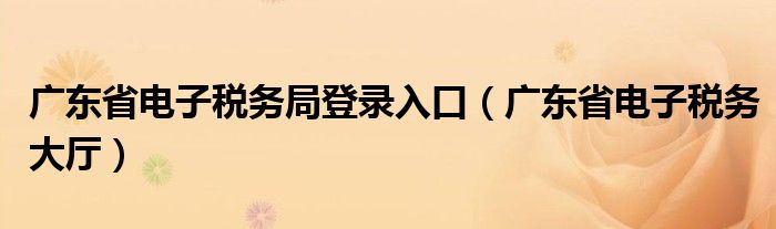 广东省电子税务局登录入口（广东省电子税务大厅）