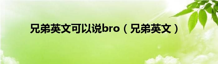 兄弟英文可以说bro（兄弟英文）