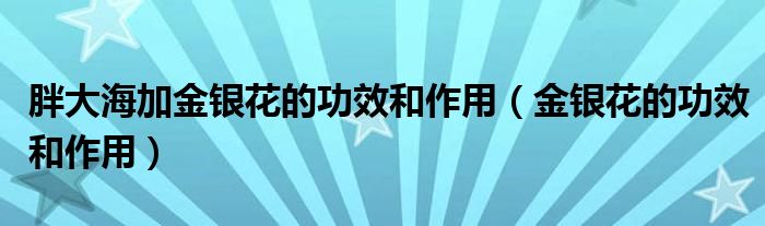 胖大海加金银花的功效和作用（金银花的功效和作用）